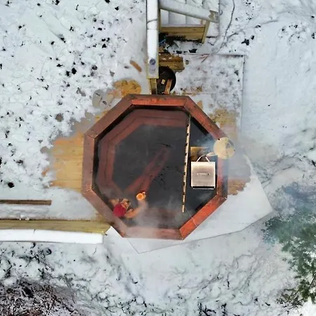 Hvitebjorn