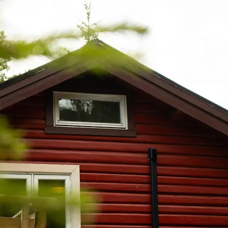 Hvitebjorn *