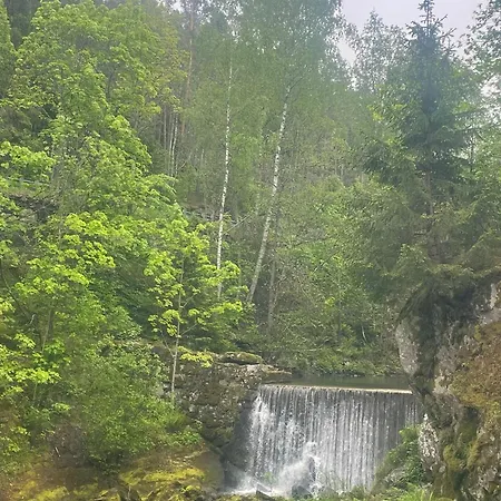 Hvitebjorn Semesterbostad